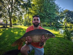 Mirror Carp