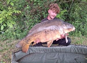 Mirror Carp