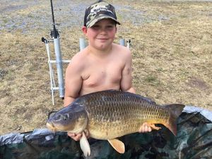Common Carp
