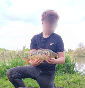 Mirror Carp