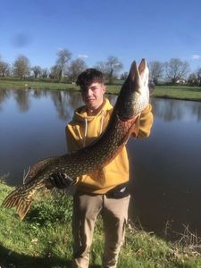 Northern Pike