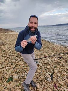 European Bass (Seabass)