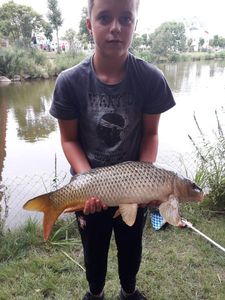 Common Carp