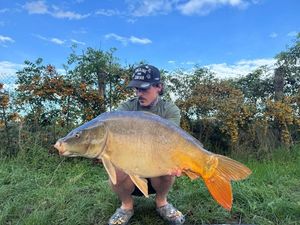 Mirror Carp