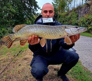 Northern Pike
