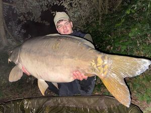 Mirror Carp