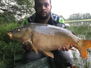 Mirror Carp