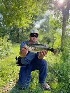 Smallmouth Bass