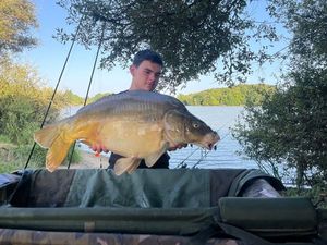 Mirror Carp