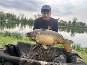 Mirror Carp