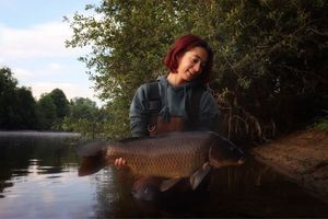 Common Carp