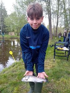 Rainbow Trout