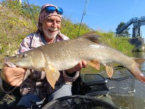 Barbel