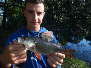 European Perch