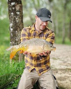 Mirror Carp