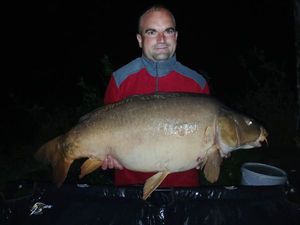 Mirror Carp