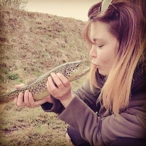Brown Trout