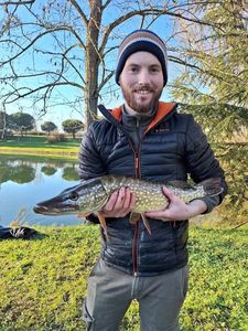 Northern Pike
