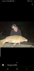 Common Carp