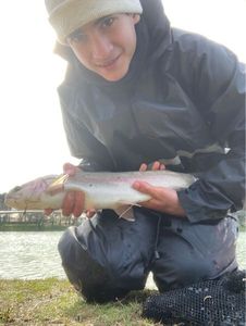Rainbow Trout