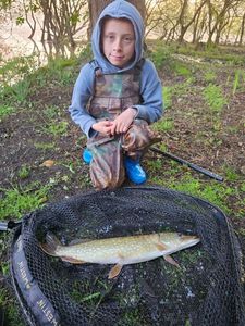 Northern Pike