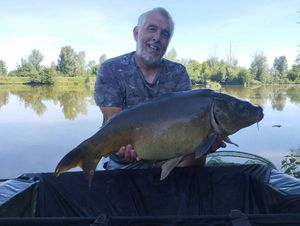 Mirror Carp