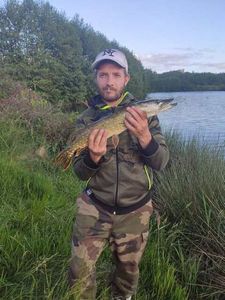 Northern Pike