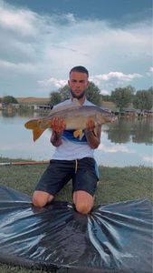 Mirror Carp