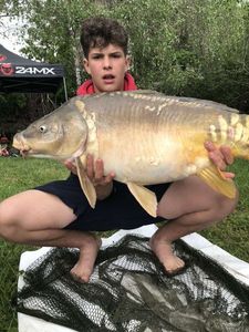 Mirror Carp