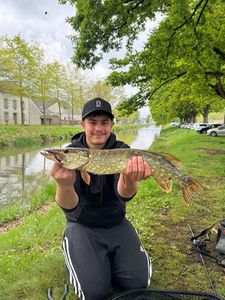 Northern Pike