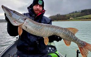 Northern Pike
