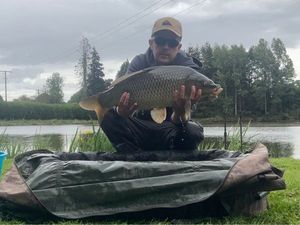 Common Carp