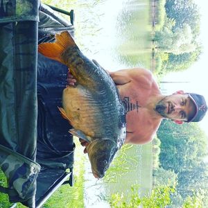 Mirror Carp