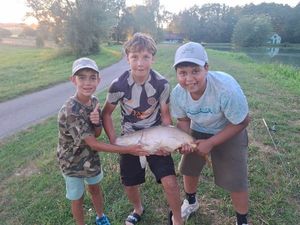 Mirror Carp