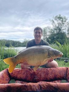 Mirror Carp