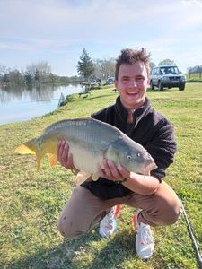 Common Carp