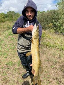 Northern Pike