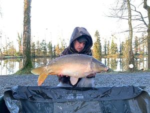 Mirror Carp