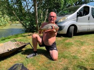 Mirror Carp