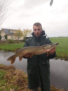 Northern Pike