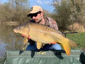 Common Carp