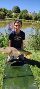 Mirror Carp