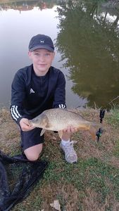 Common Carp
