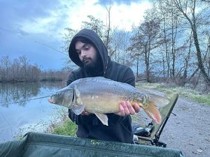 Mirror Carp