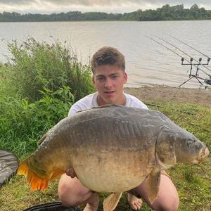 Mirror Carp