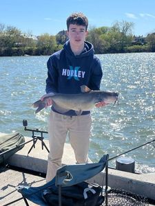 Channel Catfish
