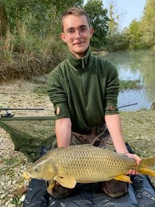 Common Carp