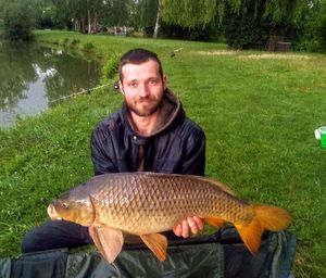 Common Carp