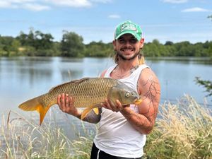 Common Carp