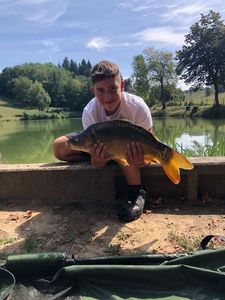 Mirror Carp